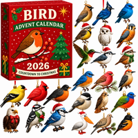 BIRD ORNAMENT ADVENT CALENDAR SET